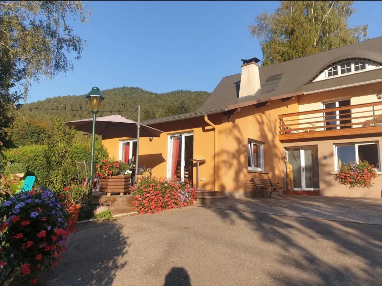 Villa Le Wineck Dambach Exterior foto