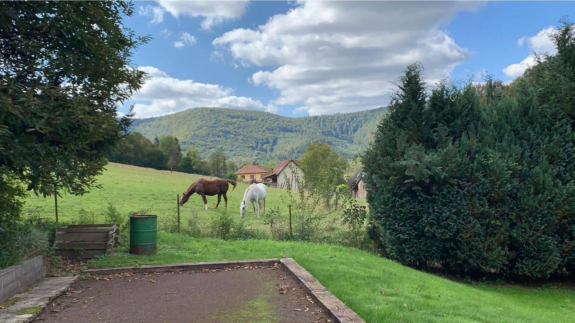 Villa Le Wineck Dambach Exterior foto