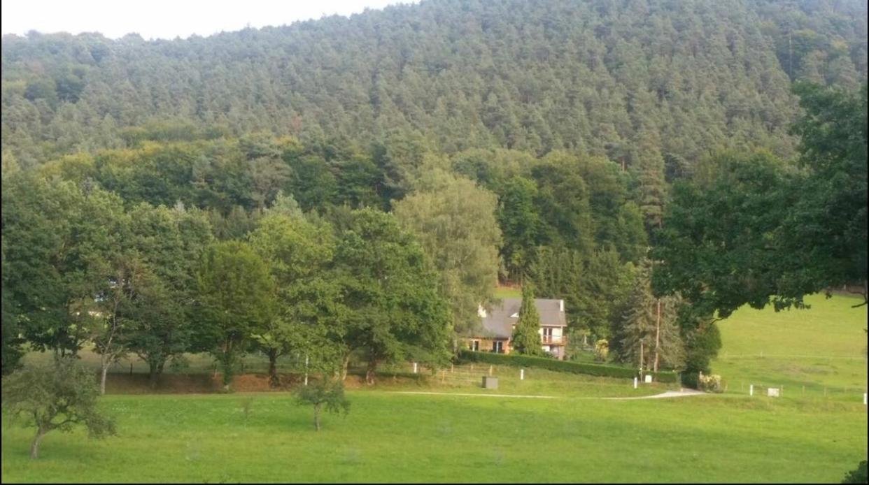 Villa Le Wineck Dambach Exterior foto