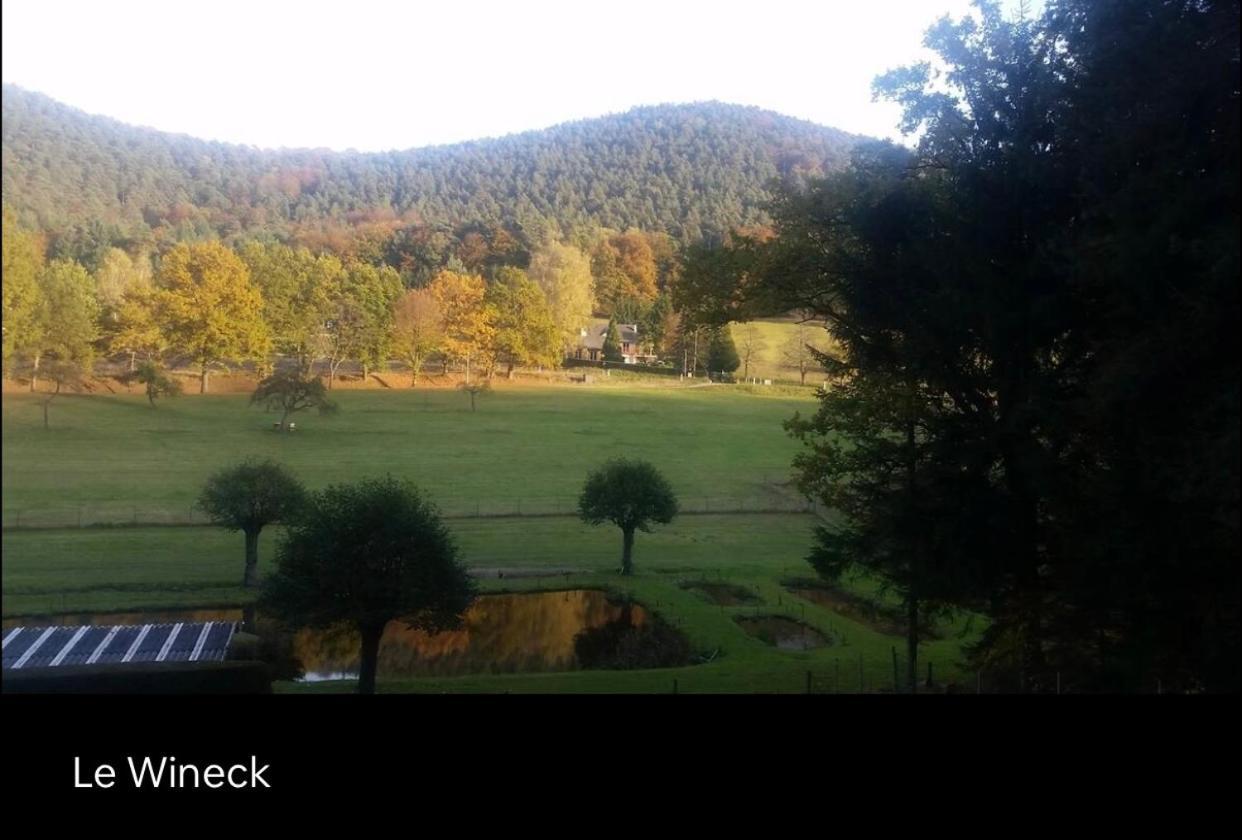Villa Le Wineck Dambach Exterior foto